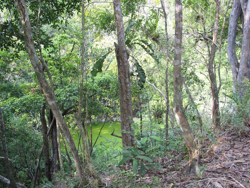 chichen-cenote-320