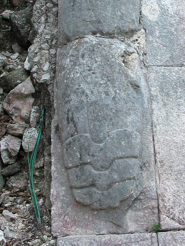 chichen-detalle-247