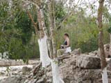 chichen-arboles-blancos-418