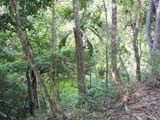 chichen-cenote-320