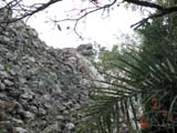 chichen-detalle-244