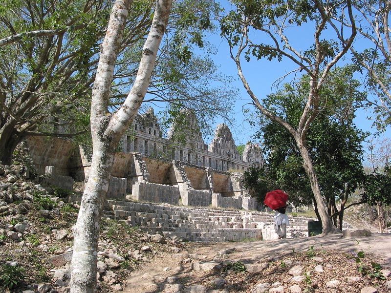 uxmal-paraguas-paloma-597
