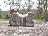 uxmal-jaguares-640