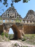 uxmal-paloma-603