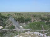 uxmal-paloma-vista-607
