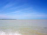 celestun_agua-850