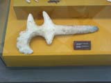 merida_museo_047