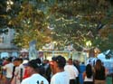 fiesta-plaza-treelights-019