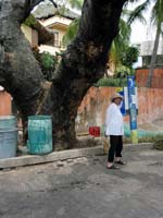 barra_arbol_1437