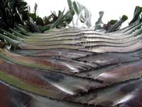 barra_palma_1441
