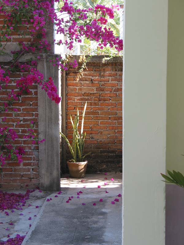 plantas_1320