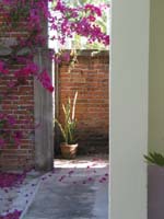 plantas_1320