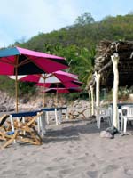 cuastecomate_linea_1758