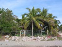 cuatecomate_todd_1752