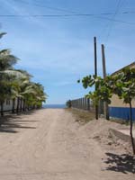 al_mar_1339