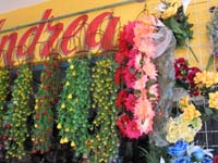 calle_flores_1664