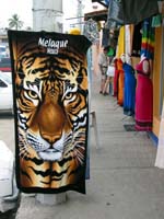 calle_tigre_1532