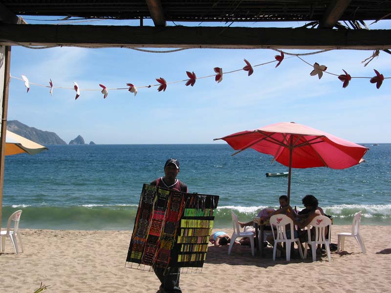 playa-pelicanos_1350