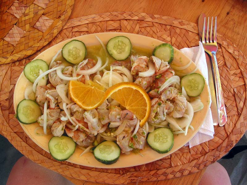 playa-pelicanos_camar#0014