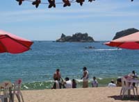 playa-pelicanos_1340