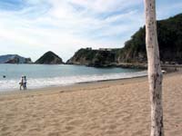 playa-pelicanos_1367