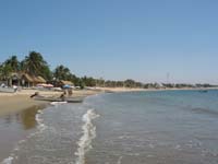 playa-pelicanos_1653