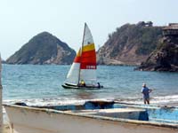 playa-pelicanos_1781