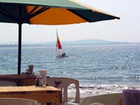 playa-pelicanos_1785