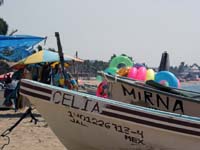 playa-pelicanos_1788