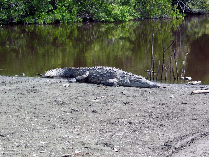 rio_pur_coco_parque_1588