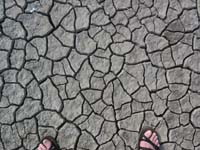 rio_pur_A_1564