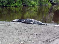 rio_pur_coco_parque_1588
