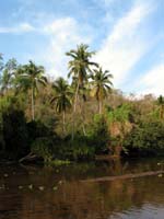 rio_purificacion_1562
