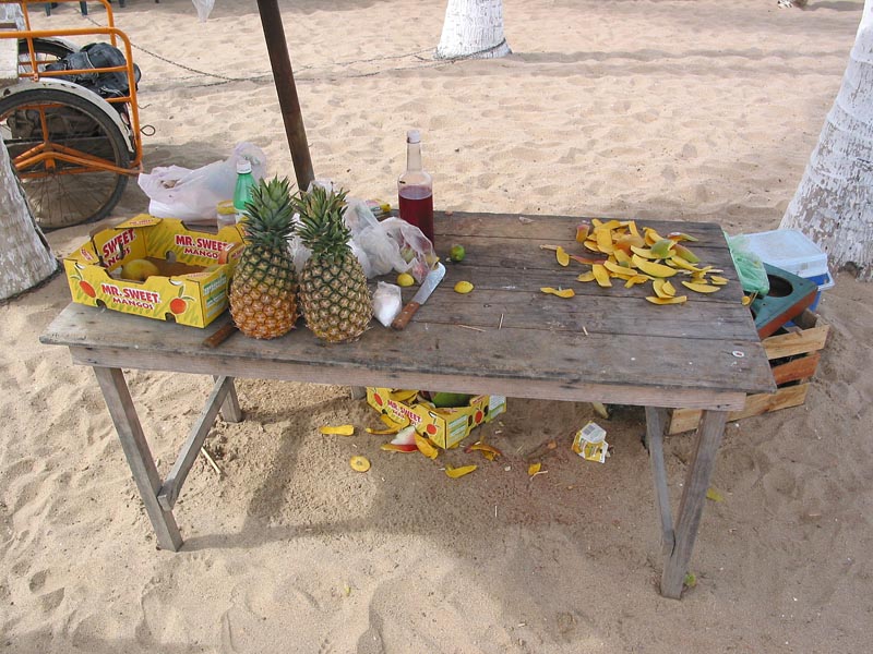 barra04b_playa_pina_3981