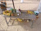 barra04b_playa_pina_3981