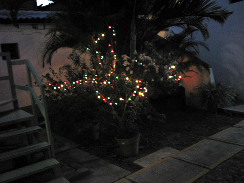 colima_la_merced_luces0016
