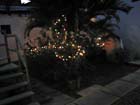 colima_la_merced_luces0016