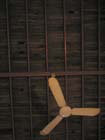 colima_la_merced_ven#10017