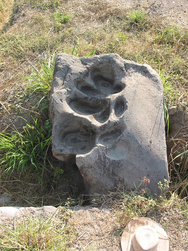 colima_la_campana_4480
