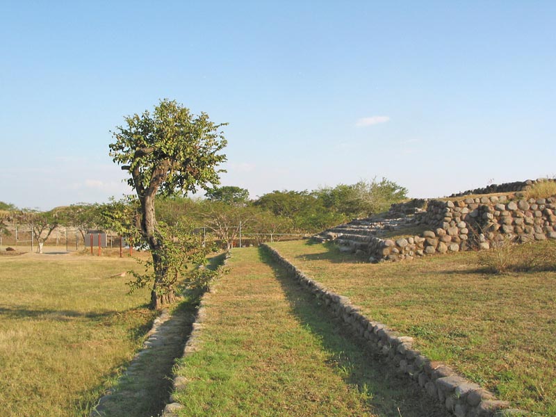 colima_la_campana_4501