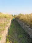 colima_la_campana_4486