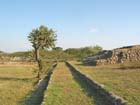 colima_la_campana_4501