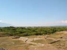 colima_la_campana_vi#10011