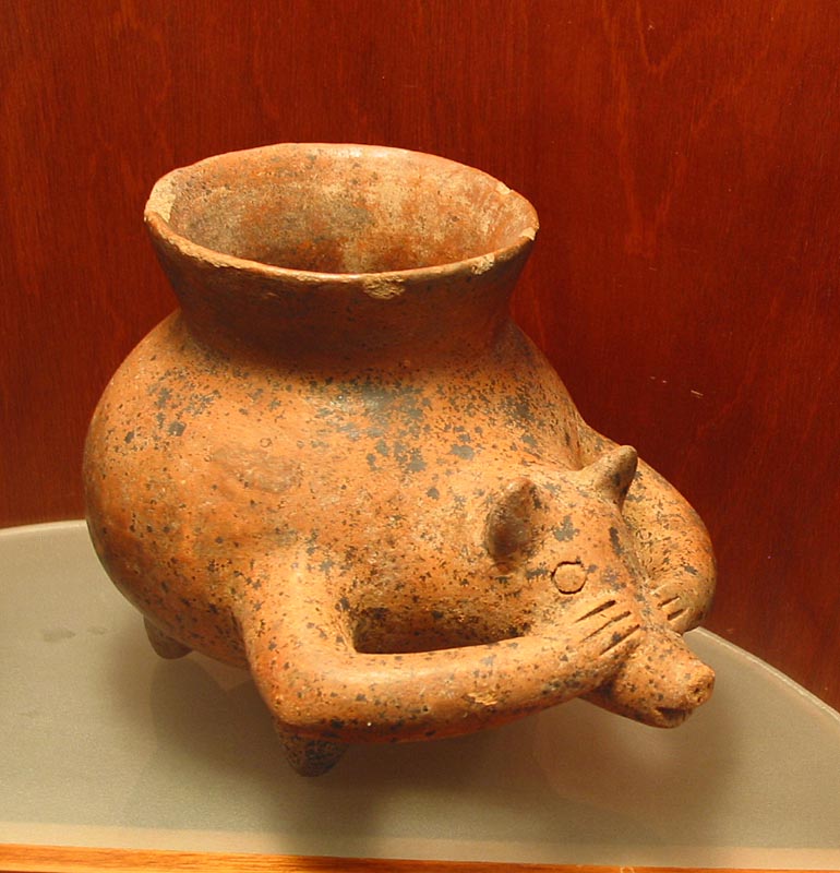 colima_museo_animal_4281