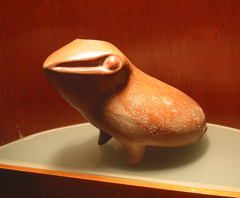 colima_museo_animal_4286
