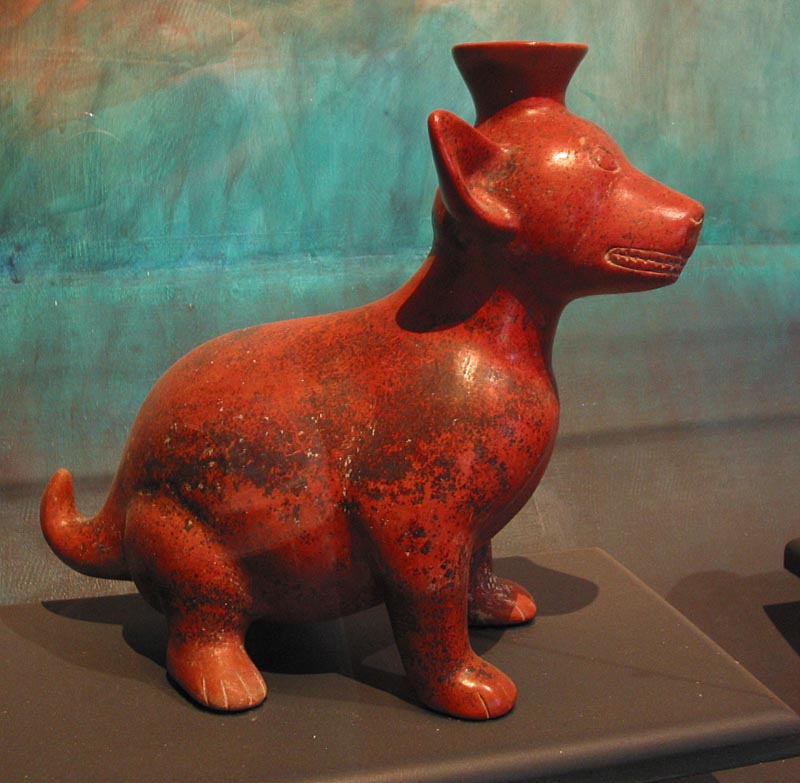 colima_museo_perro_4279