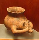 colima_museo_animal_4281