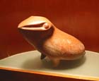 colima_museo_animal_4286