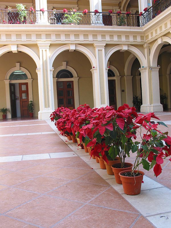 colima_palacio_4433