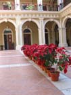 colima_palacio_4433